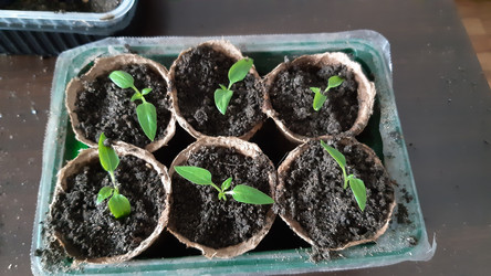 Similar image 22119665