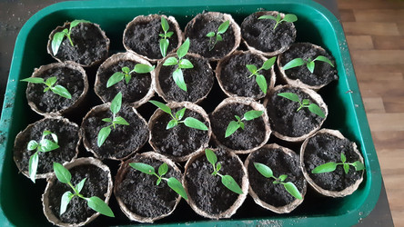 Similar image 22119666