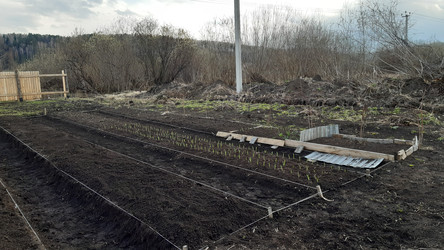 Similar image 22119668