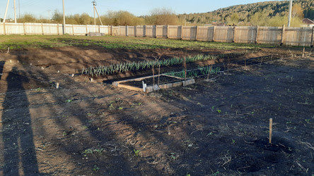 Similar image 22119669