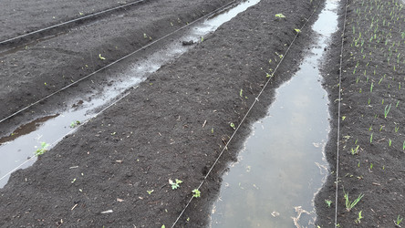 Similar image 22119672