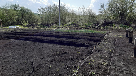 Similar image 22119673