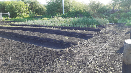 Similar image 22119674