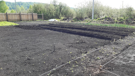 Similar image 22119675