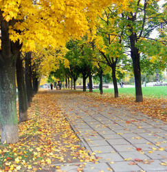 Similar image 22120280