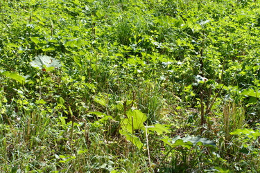 Similar image 22120281