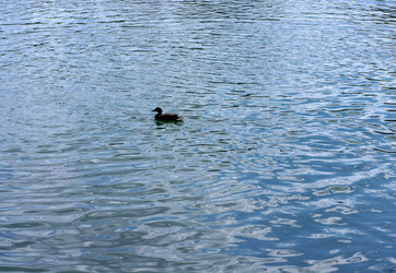 Similar image 22120283