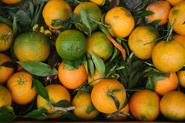 Similar image 22119677