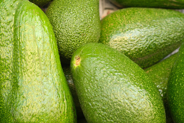 Similar image 22119681