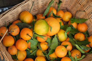 Similar image 22119685