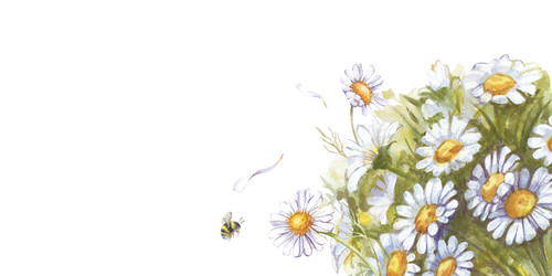 Similar image 22120289