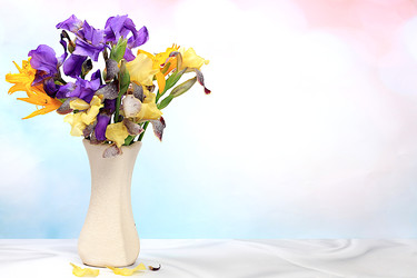 Similar image 22119699