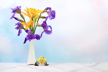 Similar image 22119700