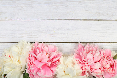 Similar image 22119701