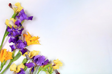 Similar image 22119702