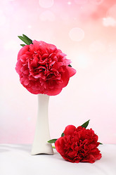 Similar image 22119703