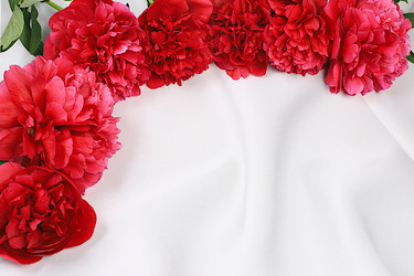 Similar image 22119704