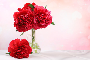 Similar image 22119706