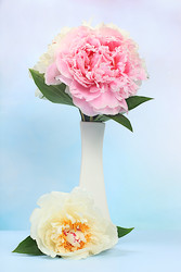 Similar image 22119707