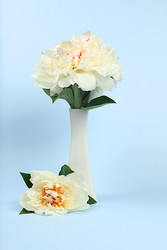 Similar image 22119709