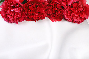 Similar image 22119711