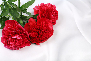 Similar image 22119717