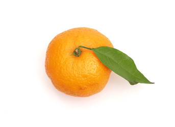 Similar image 22119760