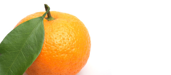 Similar image 22119762