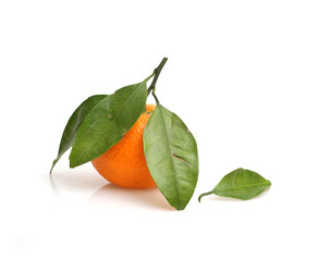 Similar image 22119766