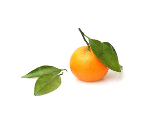 Similar image 22120537