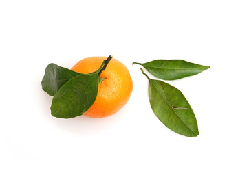 Similar image 22120539