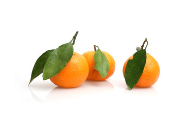 Similar image 22120543