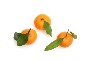 Similar image 22120545