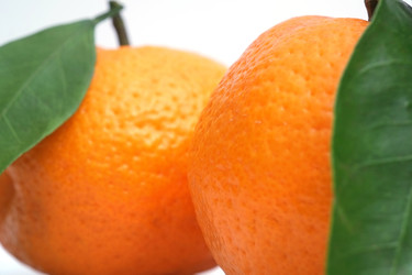 Similar image 22120578