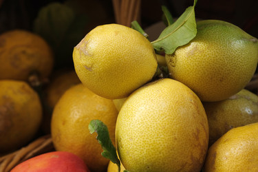 Similar image 22120623