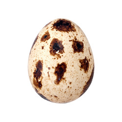 Similar image 22121622