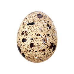 Similar image 22121623