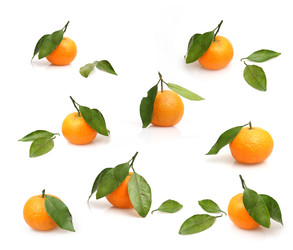 Similar image 22121631