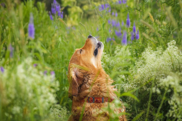 Similar image 22128584