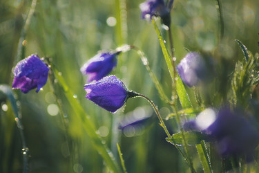 Similar image 22126464