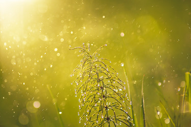 Similar image 22126465