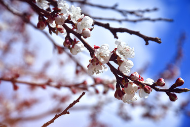 Similar image 22125750