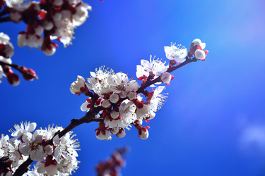 Similar image 22125751