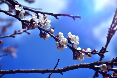 Similar image 22125752