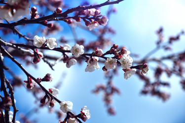 Similar image 22125753