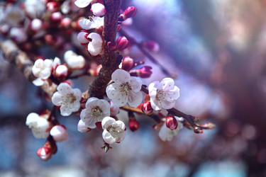 Similar image 22125754