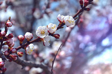 Similar image 22125755