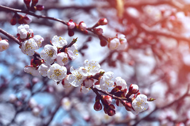 Similar image 22125756