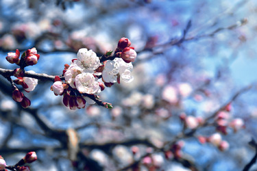 Similar image 22125757