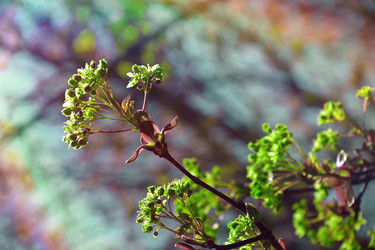 Similar image 22125758